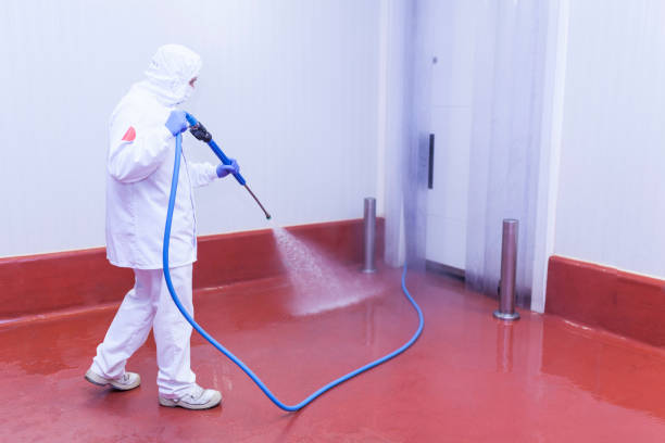 Best Residential Pressure Washing in Fredonia, NY