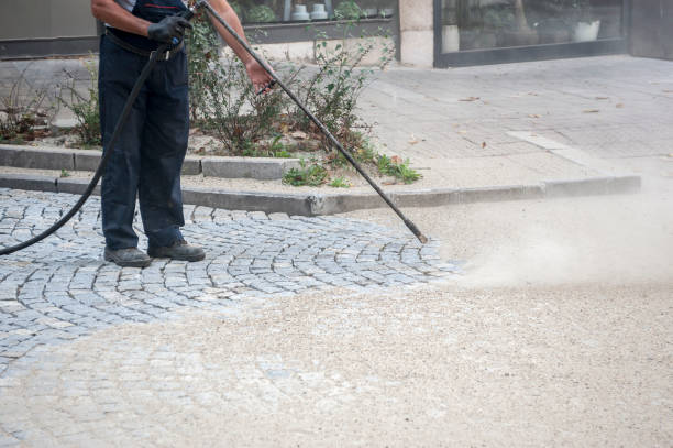 Best Sidewalk and Walkway Pressure Cleaning in Fredonia, NY